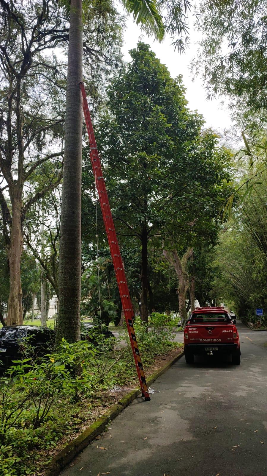 SAPREV recebe duas escadas prolongáveis.