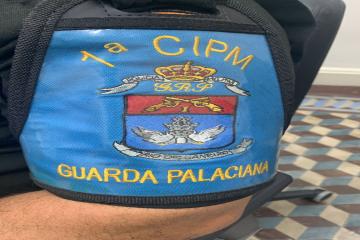 identidade visual dessa tão importante Guarda Palaciana.